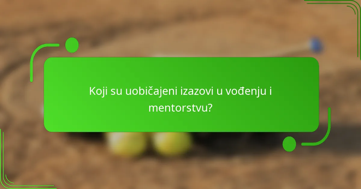 Koji su uobičajeni izazovi u vođenju i mentorstvu?