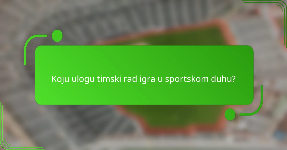 Koju ulogu timski rad igra u sportskom duhu?